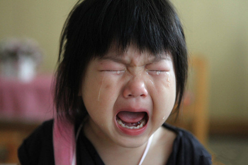 1597473050889546.jpg u=2767690574,334766209&fm=26&gp=0.jpg